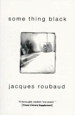 Some Thing Black by Jacques Roubaud