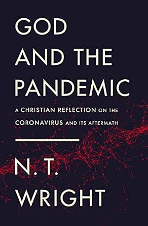 God and the Pandemic: A Christian Reflection on the Coronavirus and Its Aftermath by N.T. Wright