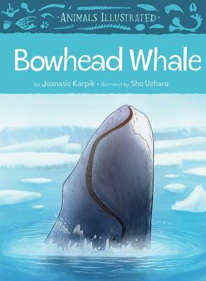 Animals Illustrated: Bowhead Whale by Joanasie Karpik