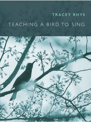 Teaching a Bird to Sing by Tracey Rhys
