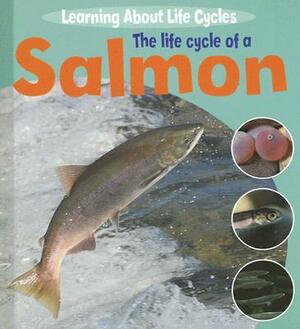 The Life Cycle of a Salmon by Ruth Thomson
