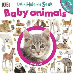 Baby Animals: Little Hide and Seek by Charlie Gardner