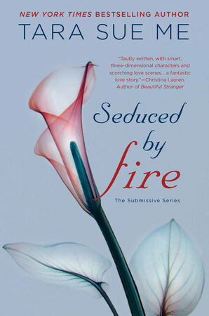 Seduced By Fire: A Partners in Play Novel by Tara Sue Me