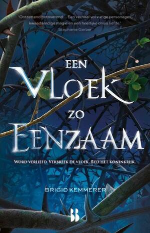 Een Vloek zo Eenzaam by Brigid Kemmerer