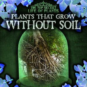 Plants That Grow Without Soil by Janey Levy