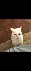 grumpyyoungwoman's profile picture