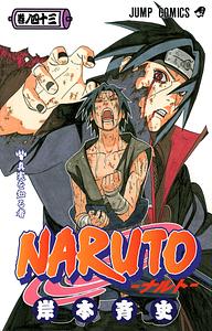 NARUTO―ナルト― 43 by 岸本 斉史, Masashi Kishimoto