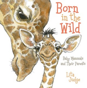 Born in the Wild: Baby Mammals and Their Parents by Lita Judge