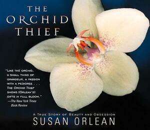 The Orchid Thief [Abridged] by Susan Orlean