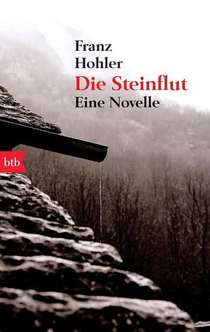 Die Steinflut: eine Novelle by Franz Hohler