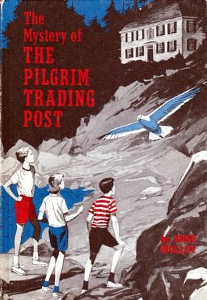 The Mystery of the Pilgrim Trading Post by Anne Molloy