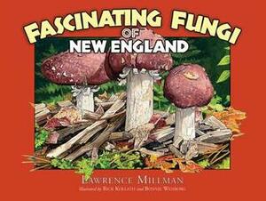 Fascinating Fungi of New England by Lawrence Millman
