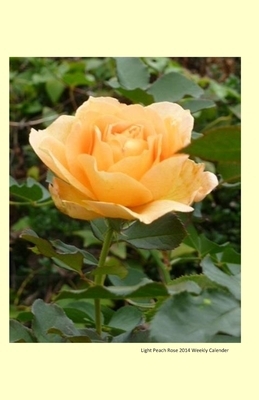 Light Peach Rose 2014 Weekly Calender: 2014 weekly calendar with a photo of a pale peach rose by K. Rose