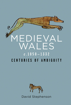 Medieval Wales c.1050–1332: Centuries of Ambiguity by David Stephenson
