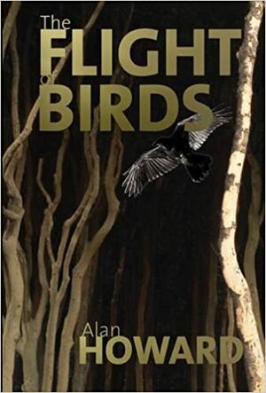 The Flight of Birds. Alan Howard by Alan Howard