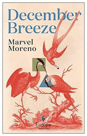 December Breeze: A masterful novel on womanhood in Colombia by Marvel Moreno, Marvel Moreno