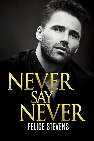 Never Say Never by Felice Stevens