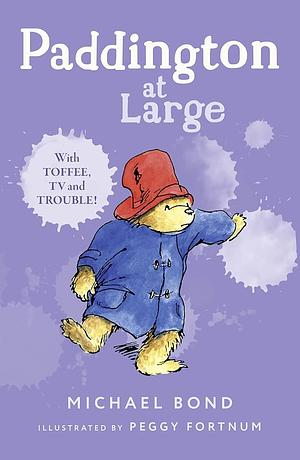 Paddington at Large by Michael Bond