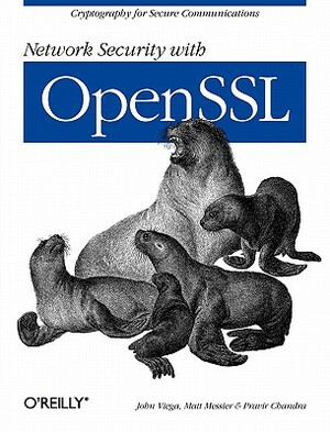 Network Security with Openssl: Cryptography for Secure Communications by Pravir Chandra, Matt Messier, John Viega