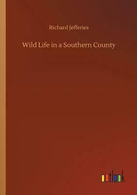 Wild Life in a Southern County by Richard Jefferies