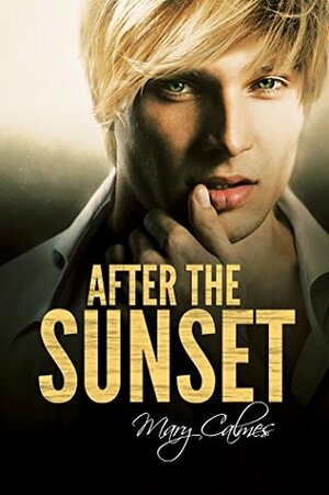 After the Sunset by Mary Calmes