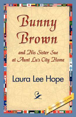 Bunny Brown and His Sister Sue at Aunt Lu's City Home by Lee Hope Laura Lee Hope, Laura Lee Hope