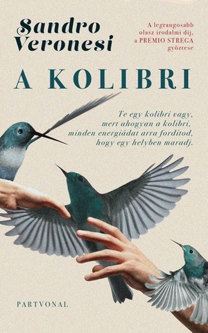 A kolibri by Sandro Veronesi