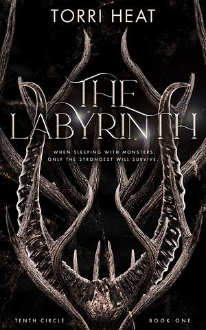 The Labyrinth by Torri Heat