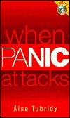 When Panic Attacks by Aine Tubridy