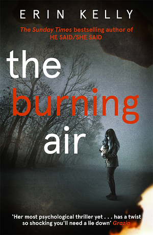 The Burning Air by Erin Kelly