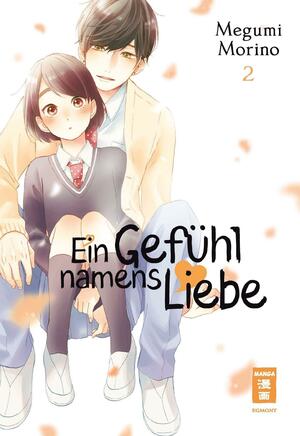 Ein Gefühl namens Liebe, Band 2 by Megumi Morino