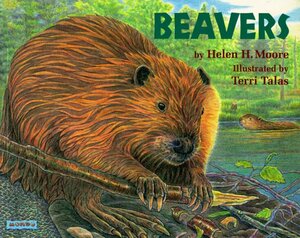 Beavers by Helen H. Moore