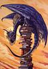 the_dragon_starback's profile picture