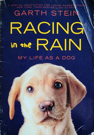 Racing in the Rain: My Life as a Dog by Garth Stein