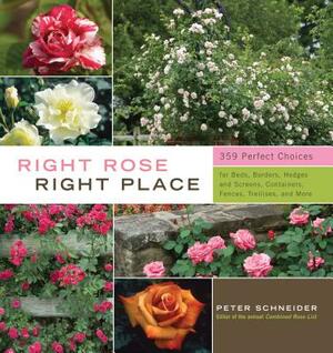 Right Rose, Right Place: 359 Perfect Choices for Beds, Borders, Hedges and Screens, Containers, Fences, Trellises, and More by Peter Schneider