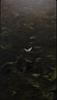 elitenext's profile picture