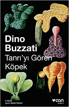 Tanrı'yı Gören Köpek by Dino Buzzati