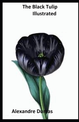 The Black Tulip Illustrated by Alexandre Dumas