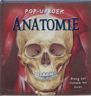 Pop-Upboek Anatomie: breng het lichaam tot leven by Emily Hawkins