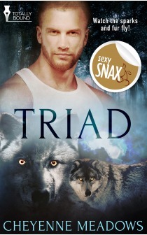 Triad by Cheyenne Meadows