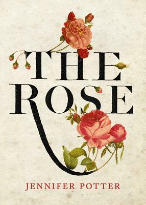 The Rose by Jennifer Potter