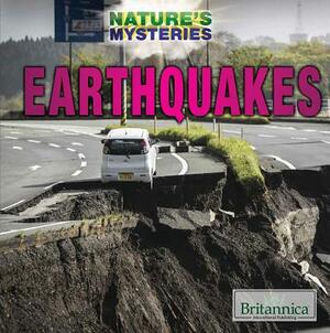 Earthquakes by Paula Johanson