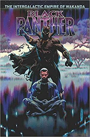 Black Panther, Vol. 4: The Intergalactic Empire of Wakanda, Part Two by Chris Sprouse, Brian Stelfreeze, Ryan Bodenheim, Daniel Acuña, Ta-Nehisi Coates