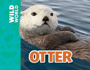 Otter by Meredith Costain