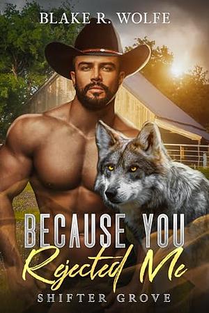 Because You Rejected Me by Blake R. Wolfe