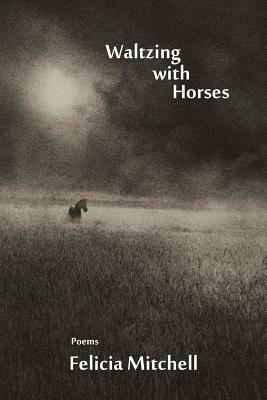 Waltzing with Horses by Felicia Mitchell