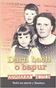 Darn Bach o Bapur by Angharad Tomos