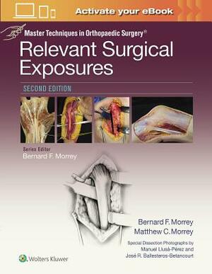 Master Techniques in Orthopaedic Surgery: Relevant Surgical Exposures by Bernard F. Morrey