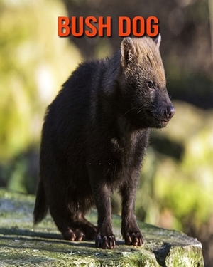 Bush Dog: Learn About Bush Dog and Enjoy Colorful Pictures by Diane Jackson