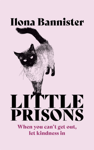 Little Prisons by Ilona Bannister